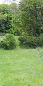 Sachem Rock Farm walking Path